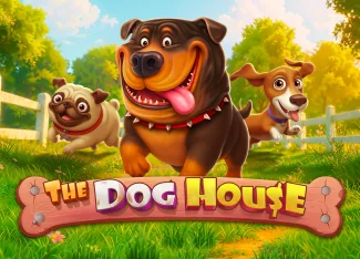 The Dog House ile 55.800 TL Kazanç - PrensBet